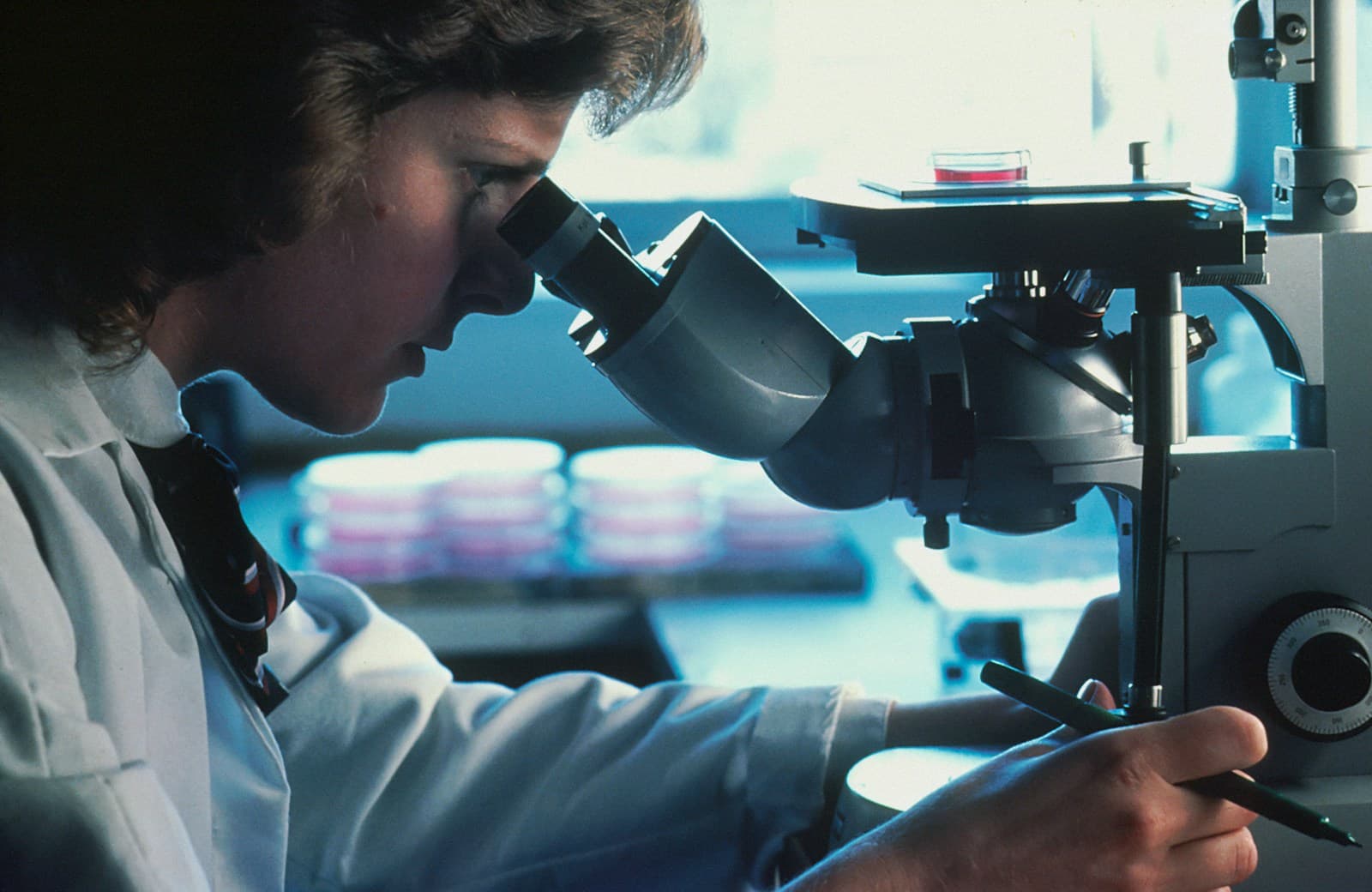 A scientist in a lab coat looking through a microscope, culture plates stacked behind.